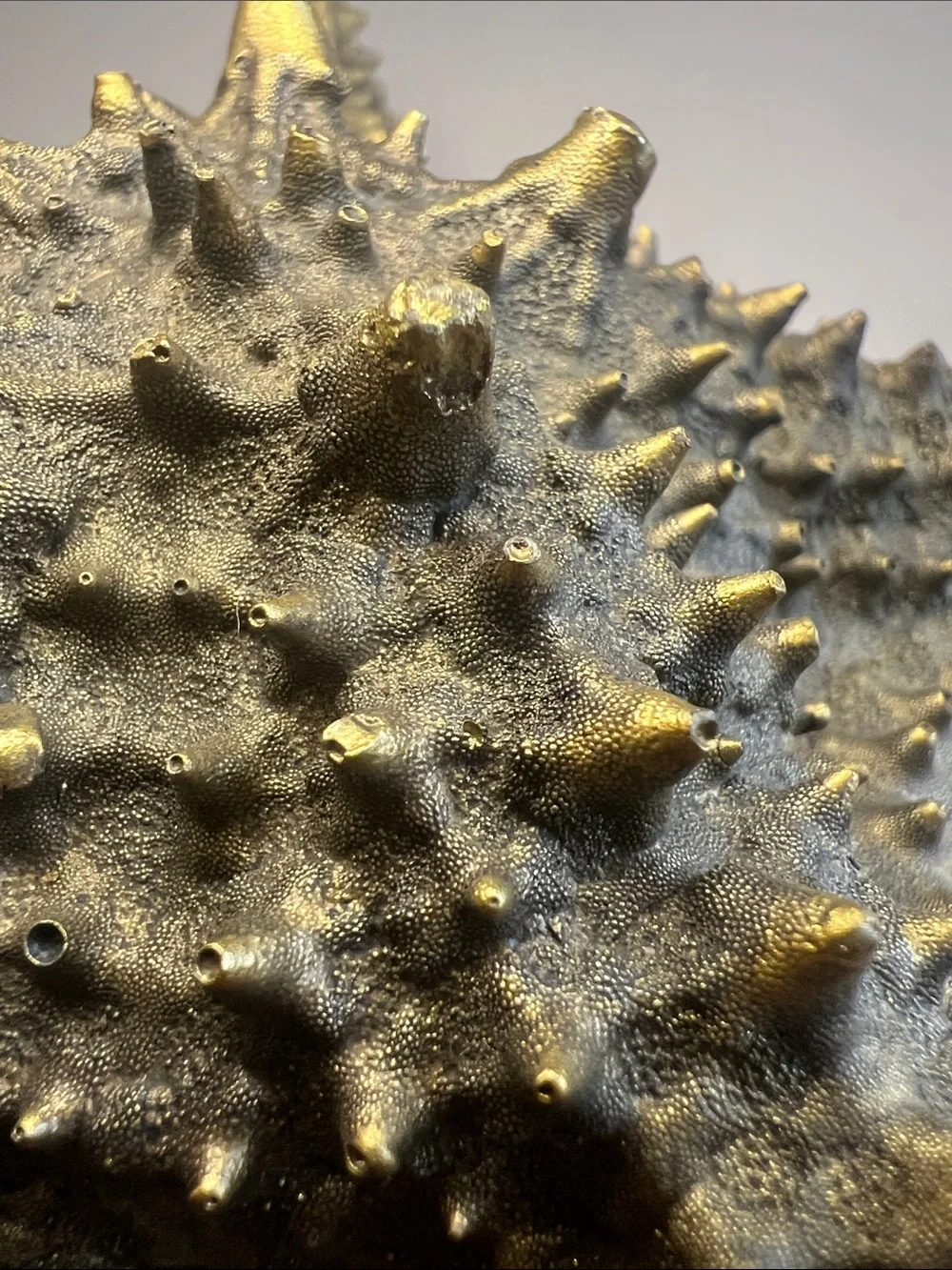 Vintage Gold Starfish Wall Decor Hanging Sculpture Large 3D Coastal Accent
